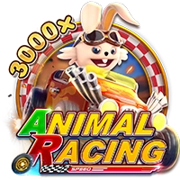 ANIMAL RACING - SPINBET123