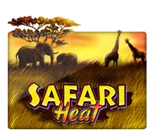 Joker123 : Safari Heat - SPINBET123