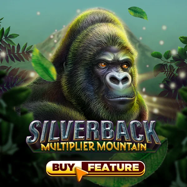 Silverback Multiplier Mountain - SPINBET123