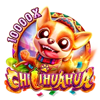 CHILIHUAHUA - SPINBET123
