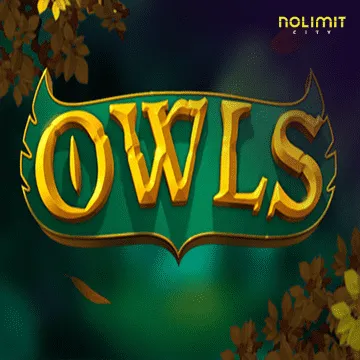 Owls - SPINBET123