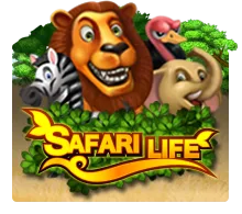 Safari Life - SPINBET123