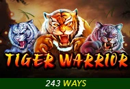 Spadegaming : Tiger Warrior - SPINBET123
