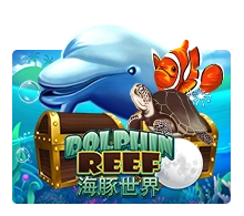 Dolphin Reef - SPINBET123