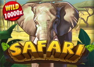 Safari - SPINBET123