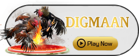 Digman - SPINBET123